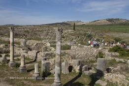 Image du Maroc Professionnelle de  Les touristes se rassemblent autour des ruines de Volubilis l'un des sites les mieux préservés au Maroc et le plus visité. Il se situe à proximité de Moulay Idriss Zerhoun à une trentaine de km au nord-ouest de Meknès, photo prise le jeudi 8 Mars 2012. Volubilis ville antique berbère Walili (Lauriers rose) qui date du 3e siècle avant J.-C. capitale du royaume de Maurétanie fondé comme seconde capital sous le règne de Juba II. (Photo / Abdeljalil Bounhar)
 